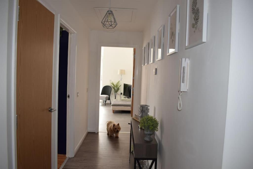 The Paisley Penthouse - Abbey View Appartement Buitenkant foto